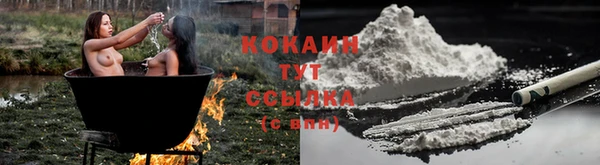 индика Заволжск