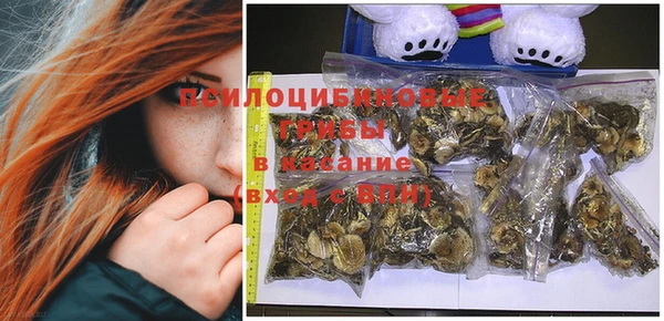 хмурый Заволжье