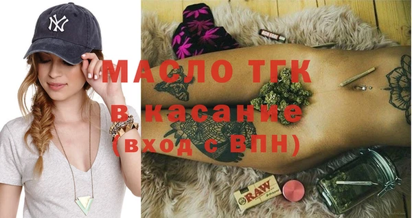 твердый Дубна