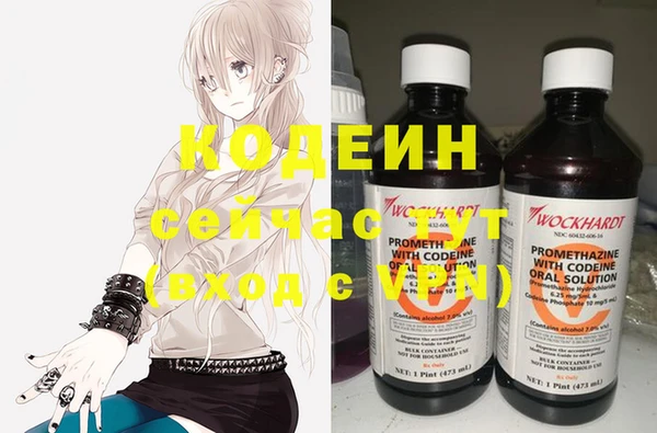 твердый Дубна