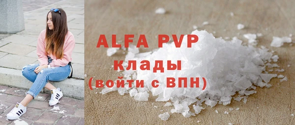 твердый Дубна