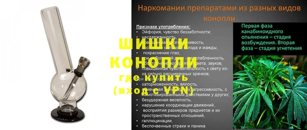 дмт Козельск