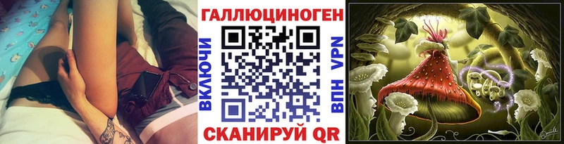 omg вход  Задонск  Псилоцибиновые грибы Psilocybine cubensis 